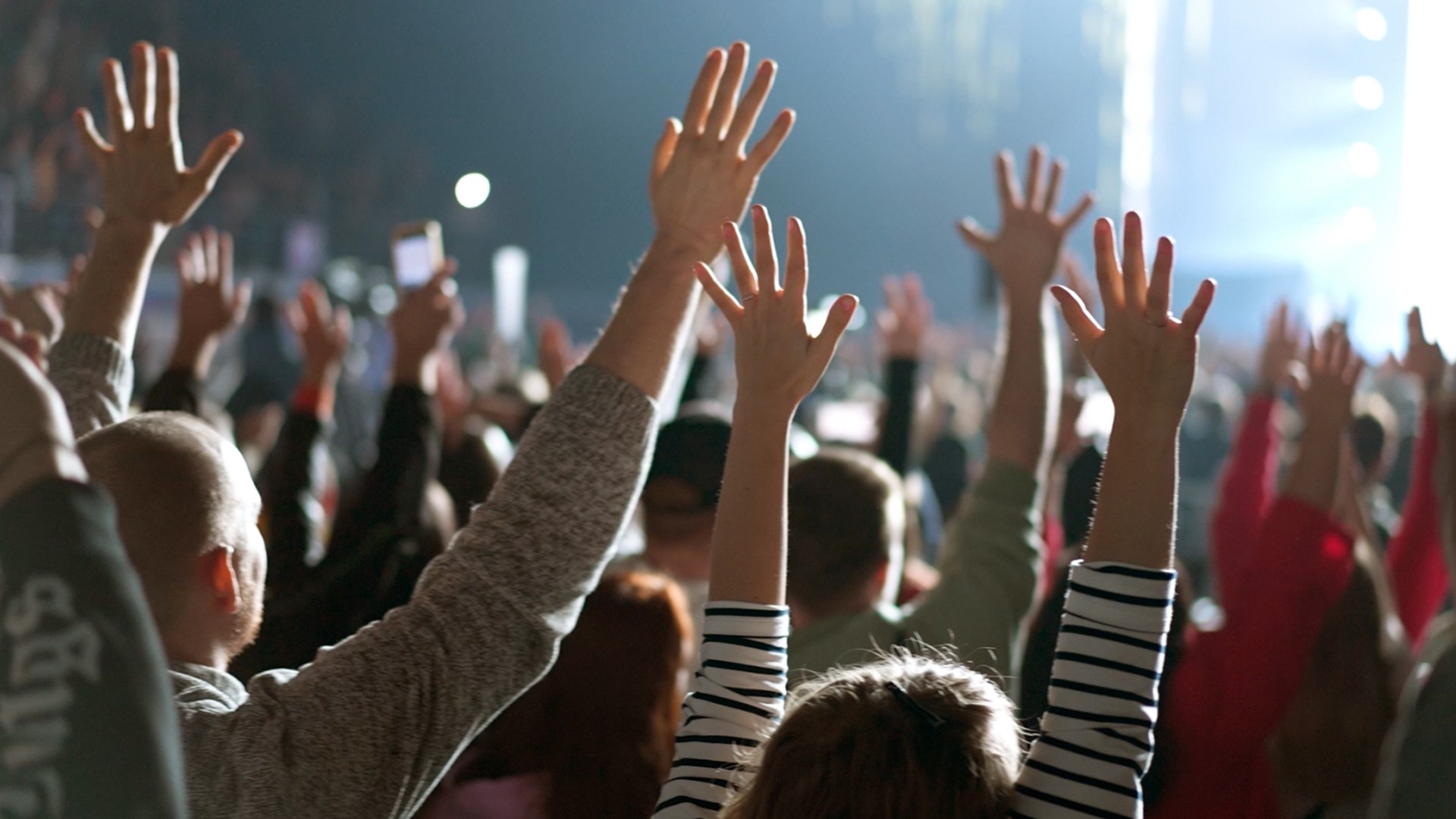 Crowd of fans