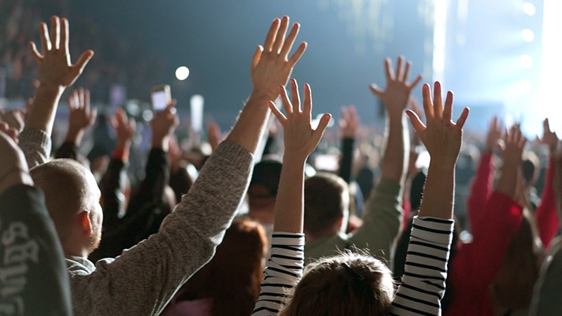 Crowd of fans