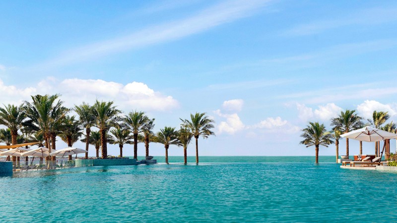 A sea shore with palm trees